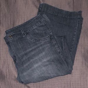 Venezia Lane Bryant Boot Cut Jeans Size 6 Tall